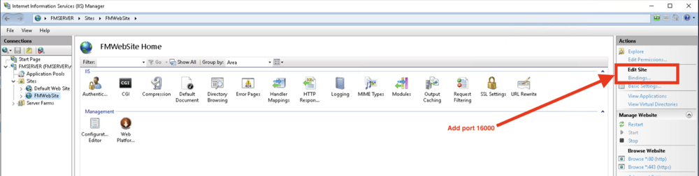 Site_Binding.thumb.png.562299cc2d6e18f2b63d81dd4e0af6ec.png